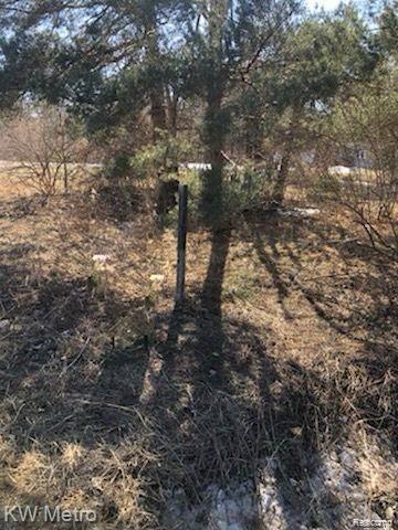 1135 N Baldwin Road, Oxford, MI 48371 — Photo 10