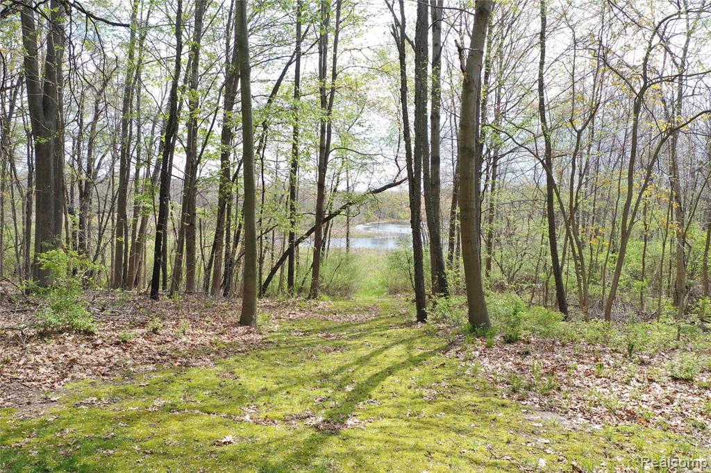 2676 Porcupine Trail, Lapeer, MI 48446 — Photo 66