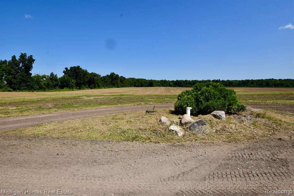 5555 E HIGHLAND Road, Howell, MI 48843 — Photo 2