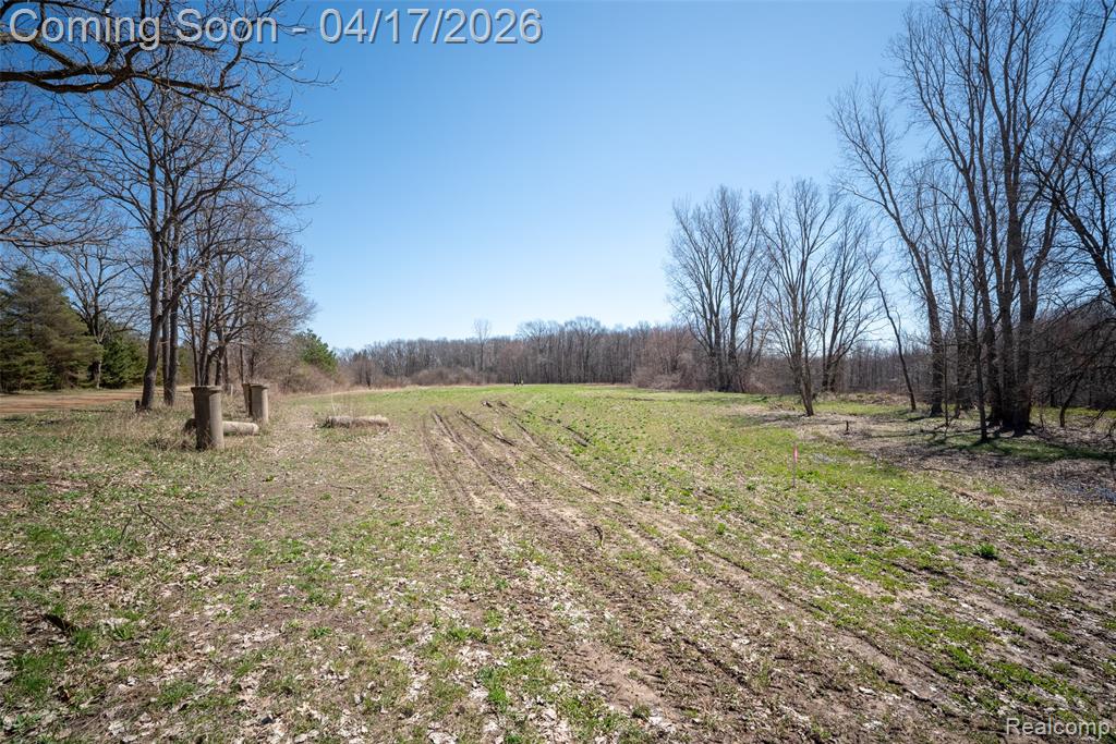 825 W Rose Center Road, Holly, MI 48442 — Photo 7