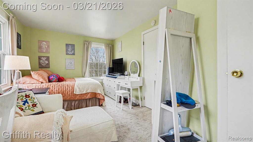 3576 Central Street, Dexter, MI 48130 — Photo 24