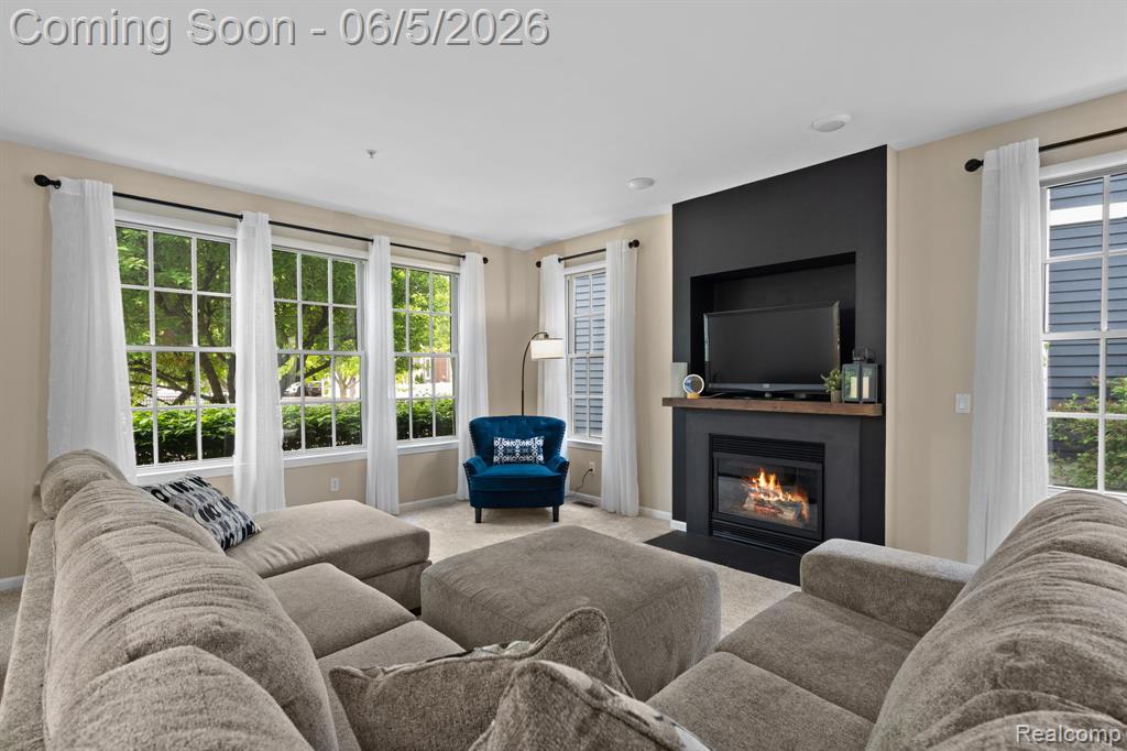 423 Patriot Street, 176, Canton, MI 48188 — Photo 5