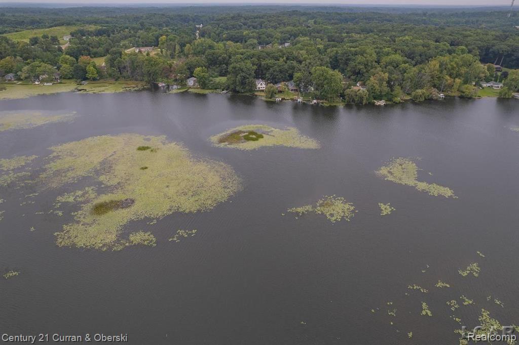 117 STUDER Drive, Grass Lake, MI 49240 — Photo 35