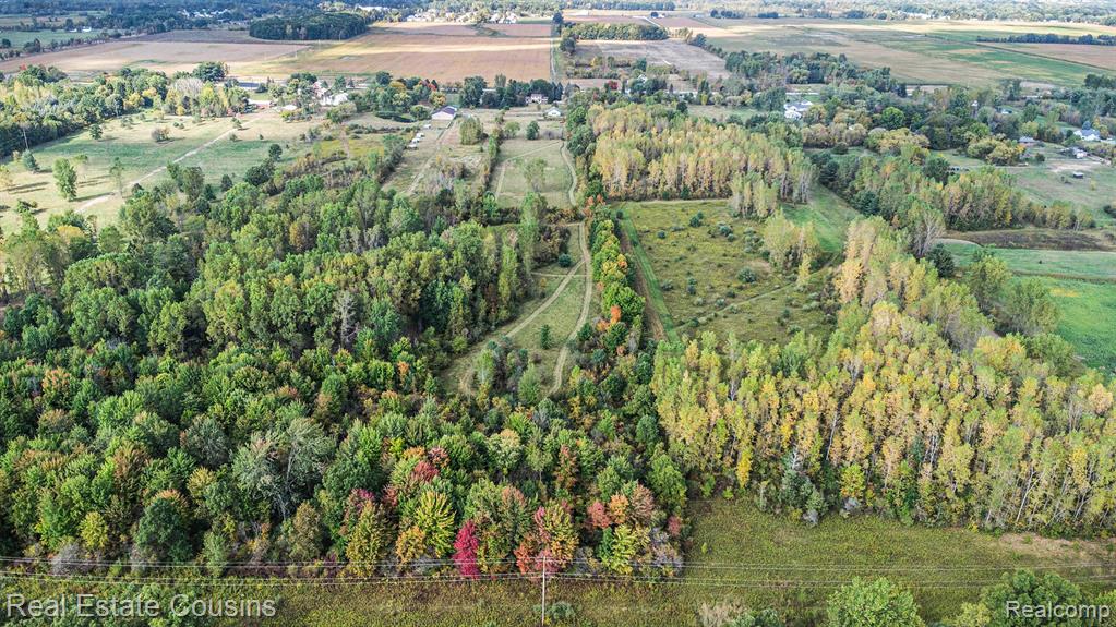 6273 Hill Road, Swartz Creek, MI 48473 — Photo 40