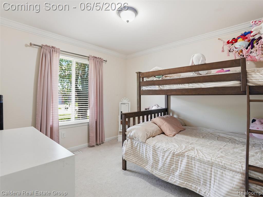 46270 Hollowoode Lane, Macomb, MI 48044 — Photo 11
