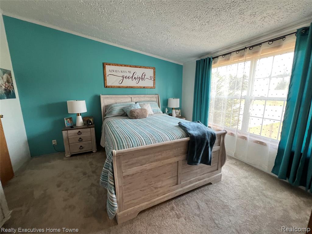 2293 DENNIS Street, Croswell, MI 48422 — Photo 22