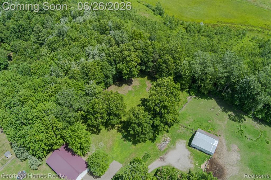 12364 Morrish Road, Clio, MI 48420 — Photo 79