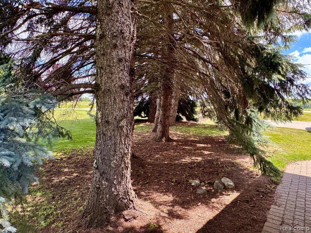 6686 Schott Road, Mayville Vlg, MI 48744 — Photo 24