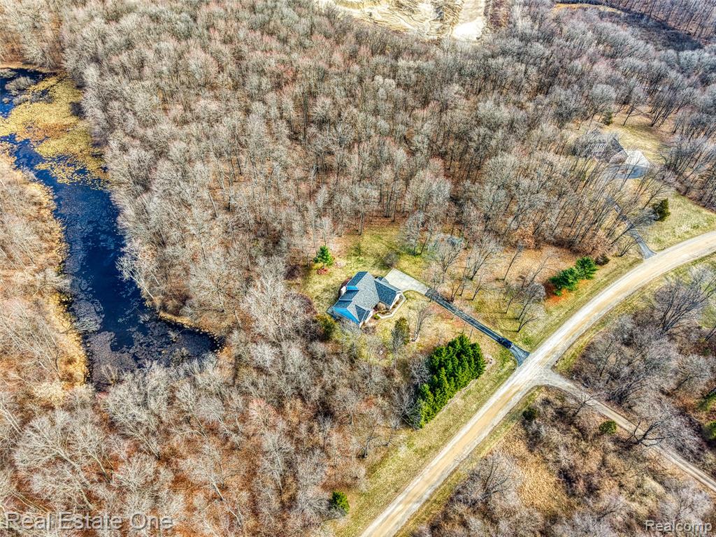 167 Forest Valley Court, Pinckney, MI 48169 — Photo 4
