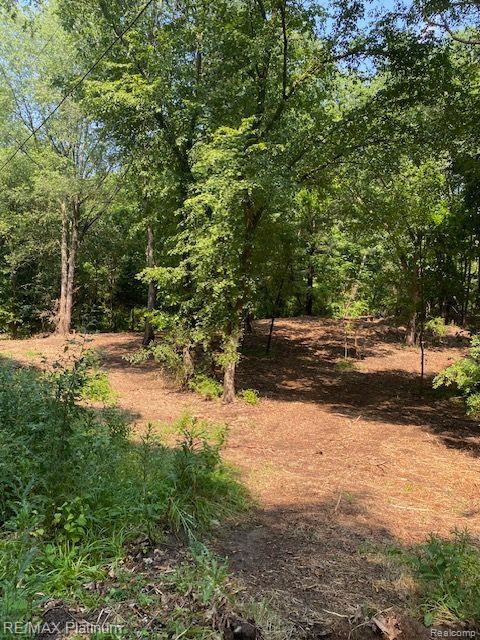 5 Sleaford-Parcel 5 - 2.5 Acres Road, Howell, MI 48843 — Photo 15