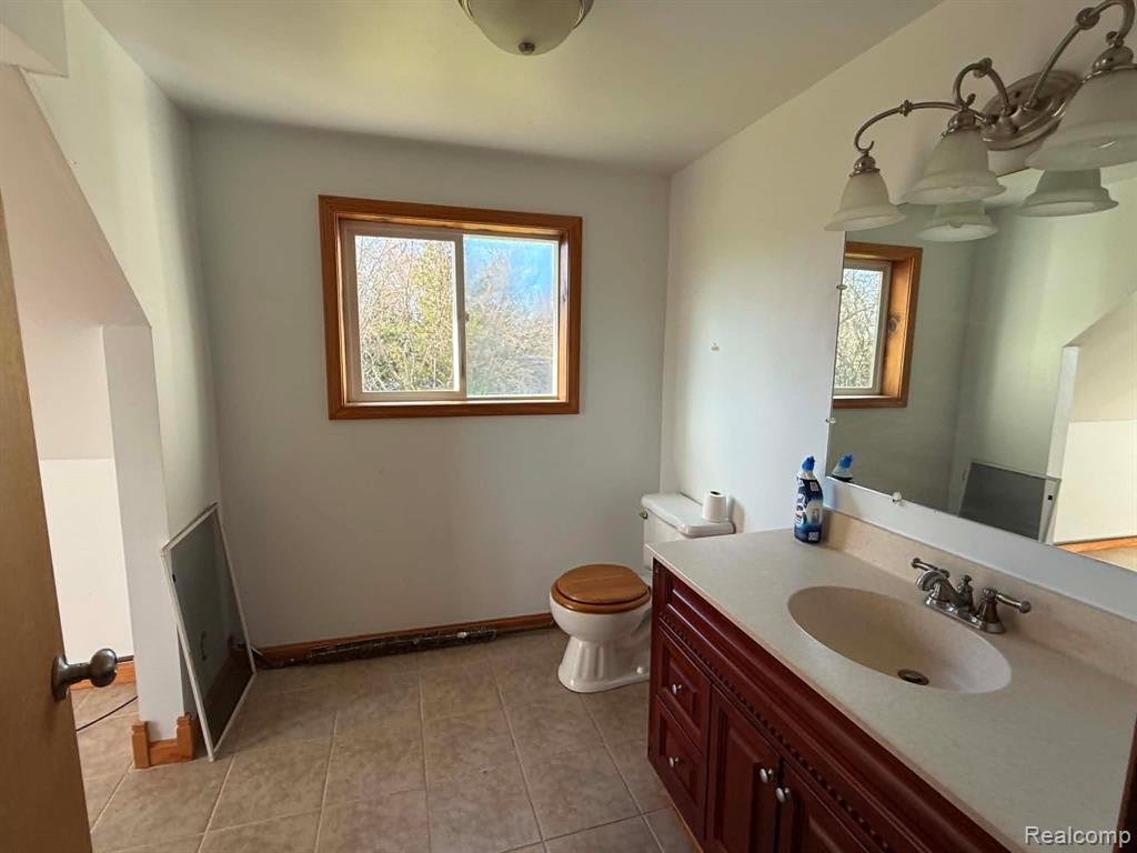 132 Whitelam Street, Bad Axe, MI 48413 — Photo 18