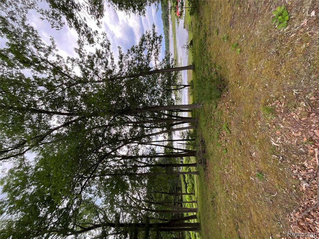2192 Lake Road S, National City, MI 48748 — Photo 11
