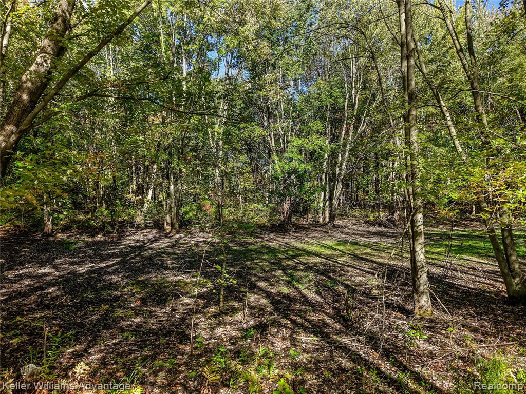 5480 Lyngre Drive, Howell, MI 48843 — Photo 42