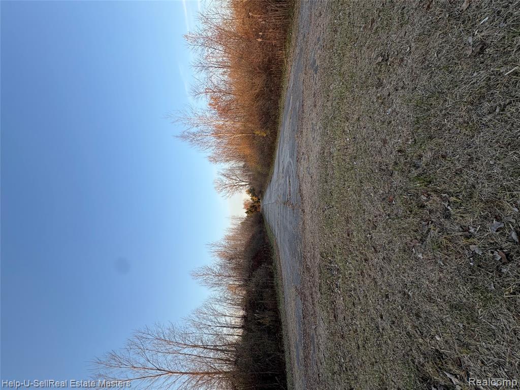 TBD Harris Road, Lakeport, MI 48059 — Photo 11