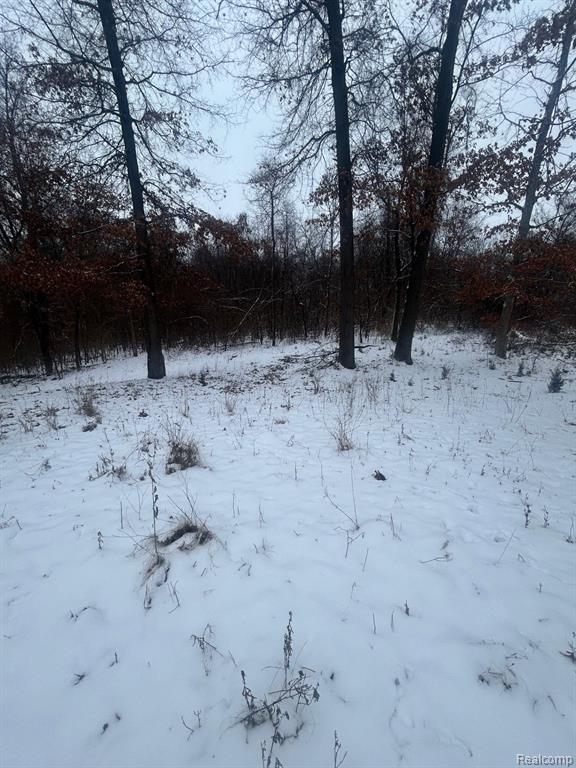 12840 LARKINS Road, Brighton, MI 48114 — Photo 3