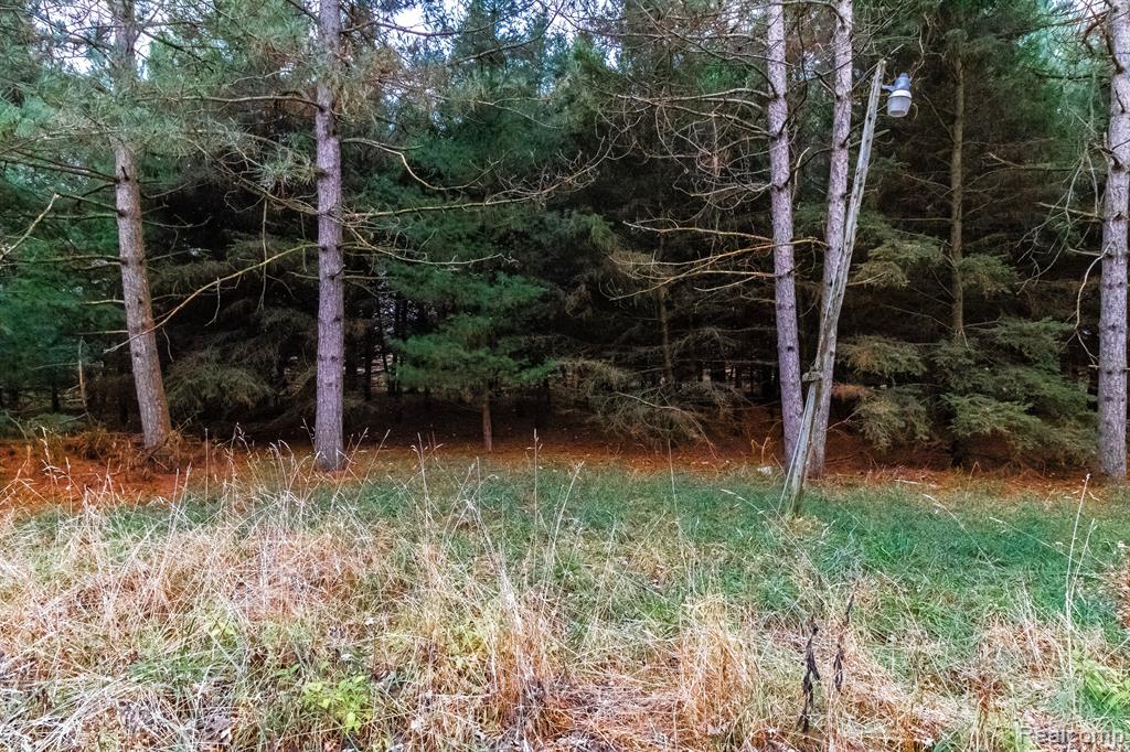 6152 OLD STATE Road, North Branch, MI 48461 — Photo 13