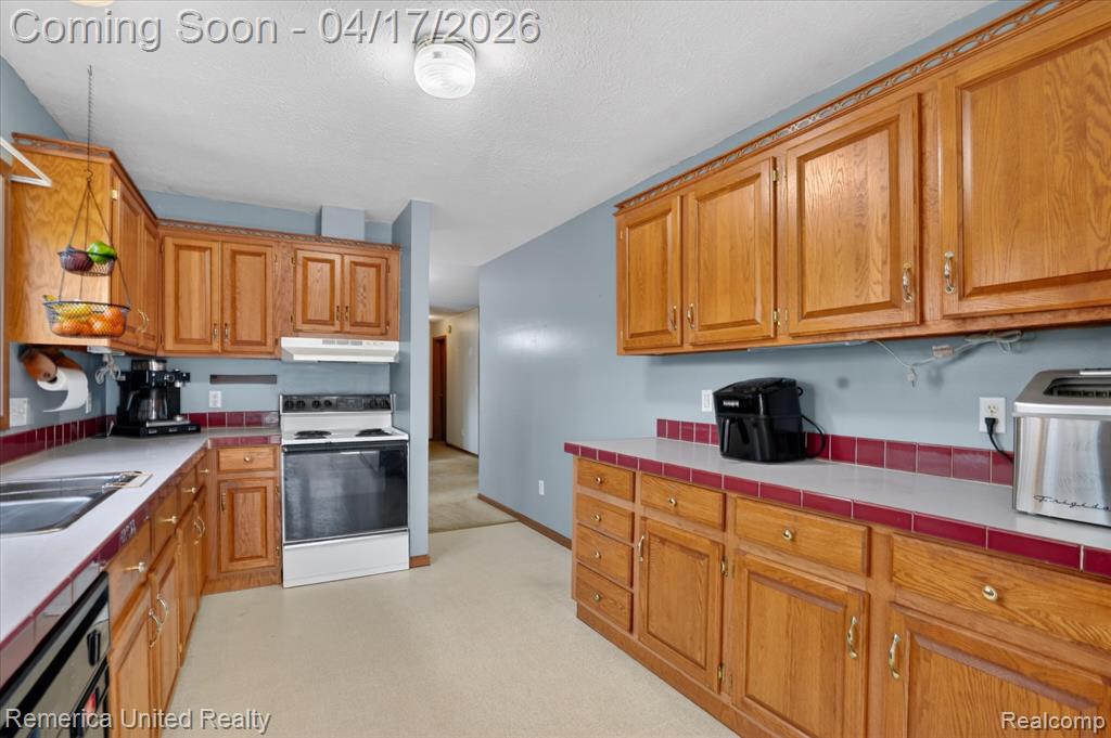 3764 Chapel Road, Spring Arbor, MI 49283 — Photo 18