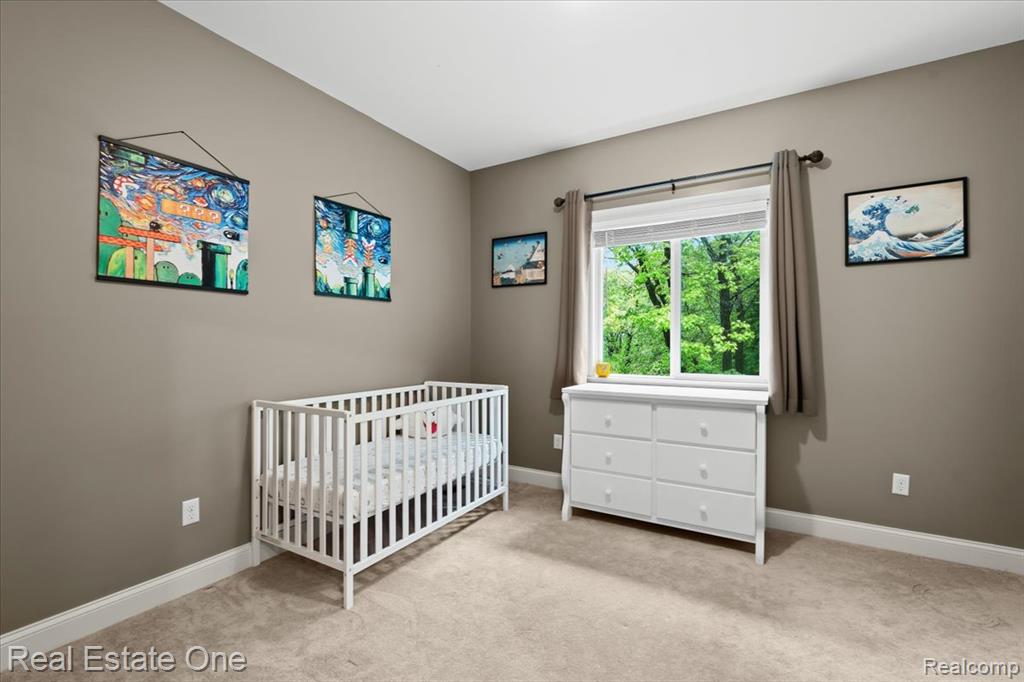 9327 VAN ANTWERP Road, Brighton, MI 48116 — Photo 27