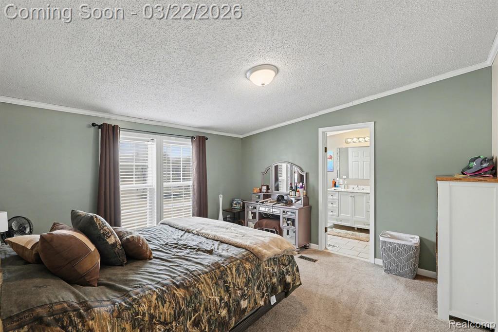 4458 Palms Road, Casco, MI 48064 — Photo 20