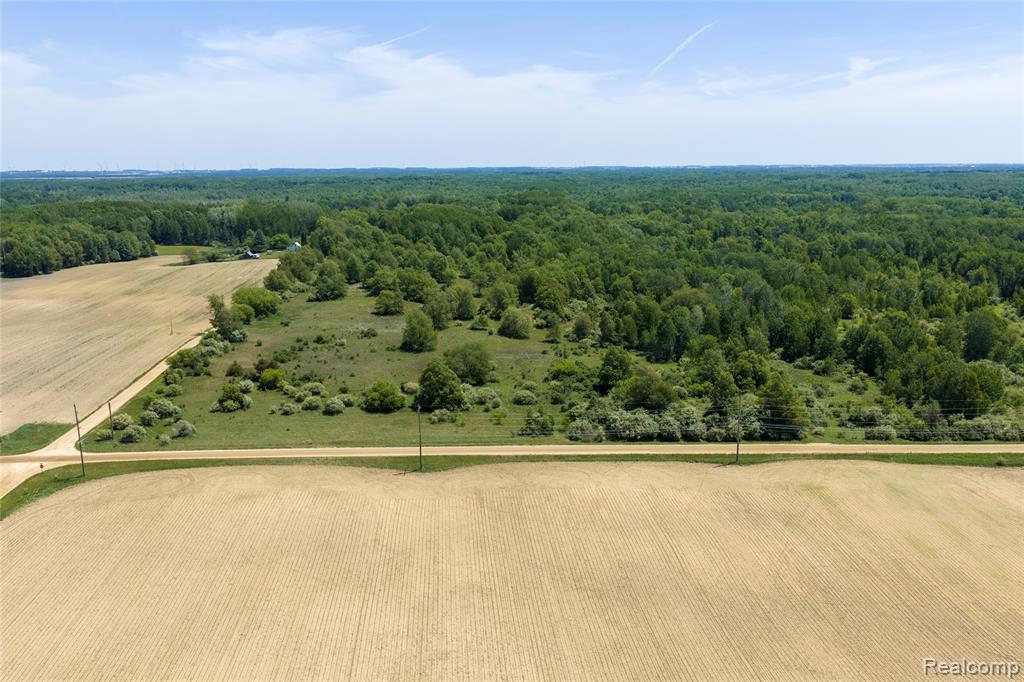 Parcel A Freiburger Rd, Snover, MI 48472 — Photo 4