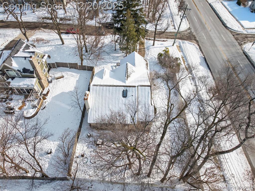 821 Grace Street, Northville, MI 48167 — Photo 43