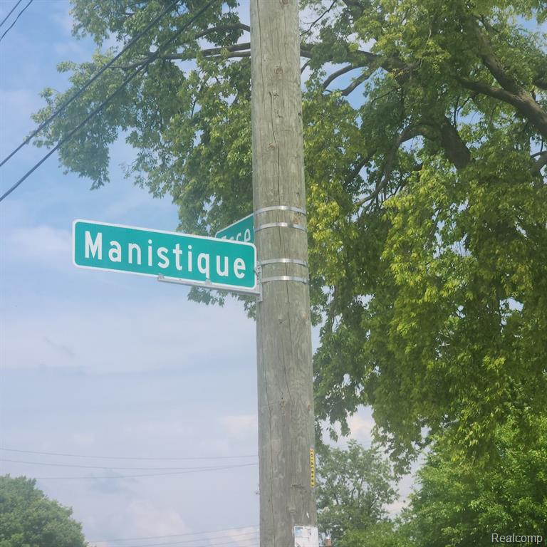 877 MANISTIQUE Street, Detroit, MI 48215 — Photo 6