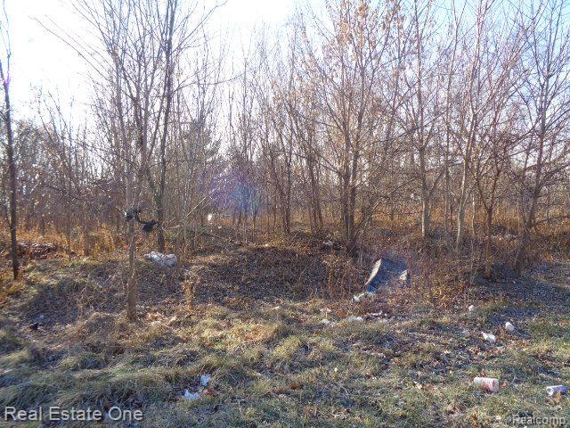 18088 PELKEY Street, Detroit, MI 48205 — Photo 14