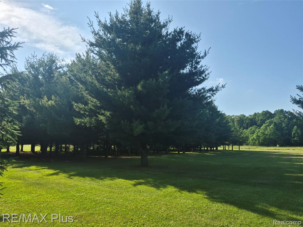 00 N Mill Road, Dryden, MI 48428 — Photo 4