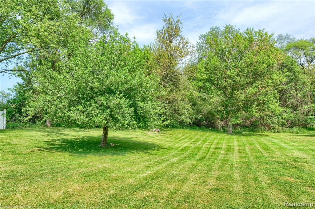 3395 Sandy Shore Drive, Metamora, MI 48455 — Photo 9