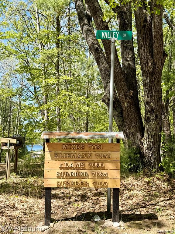 7050 Valley Lane, Atlanta, MI 49709 — Photo 21