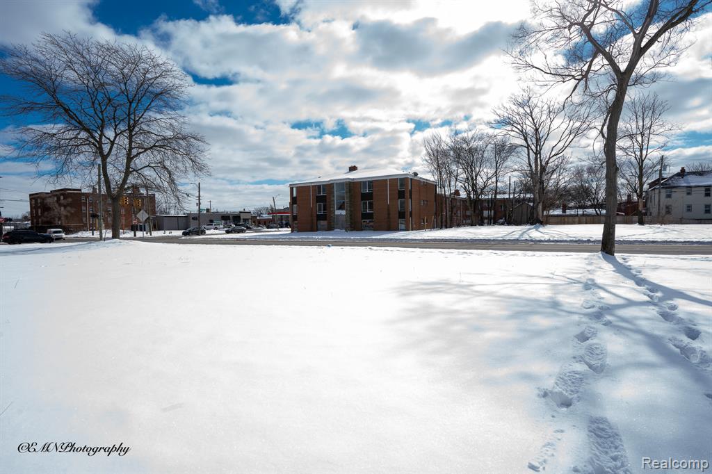 13515 Greiner Street, Detroit, MI 48205 — Photo 3