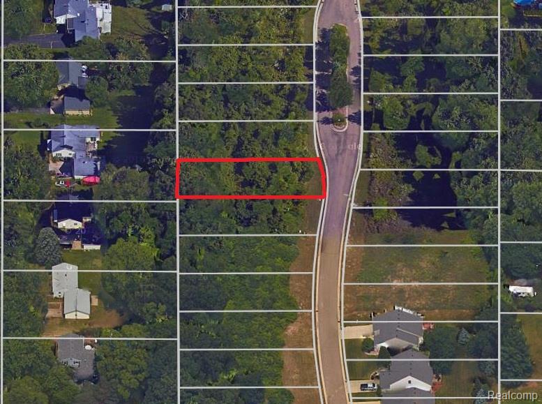11434 Hidden Oaks Drive, Clio, MI 48420