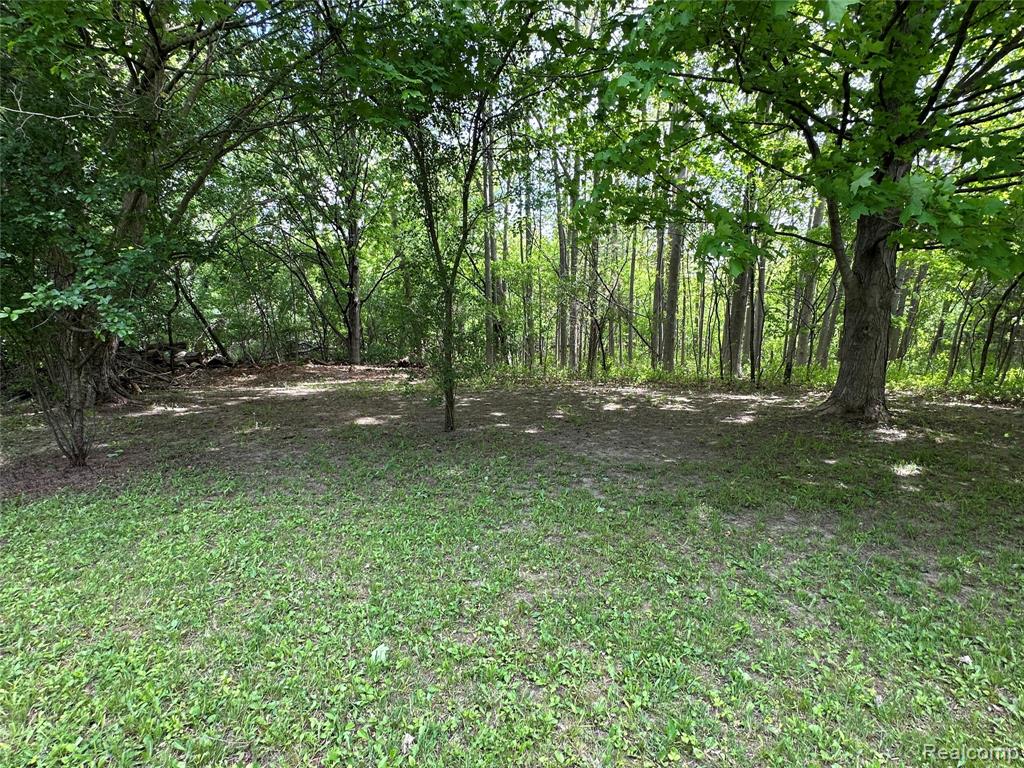 6161 River Road, Flushing, MI 48433 — Photo 24