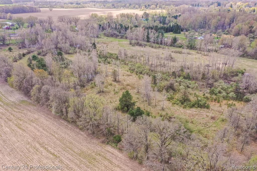 10207 DODGE Road, Otisville, MI 48463 — Photo 38