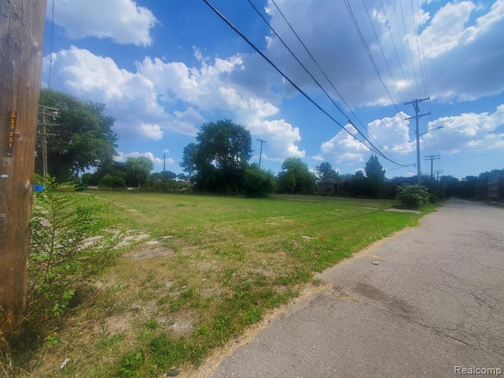 11534 WOODROW WILSON Street, Detroit, MI 48206 — Photo 5