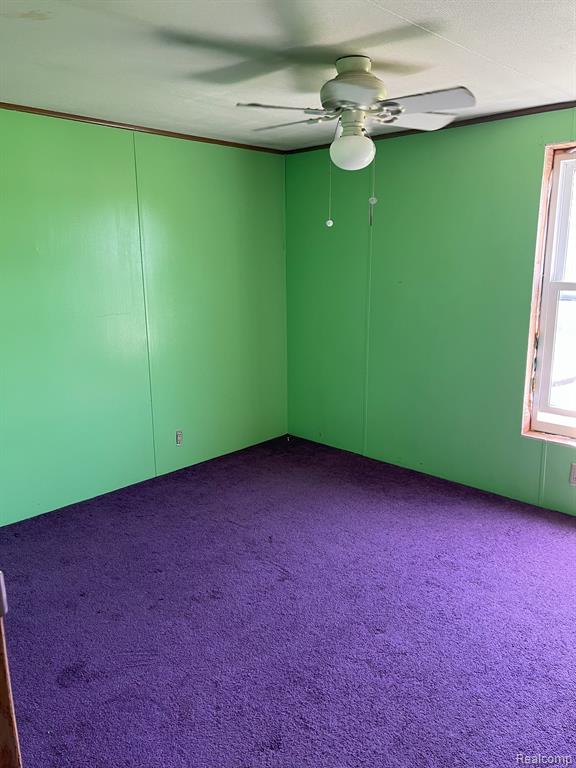 12075 PEET Road, Chesaning, MI 48616 — Photo 7
