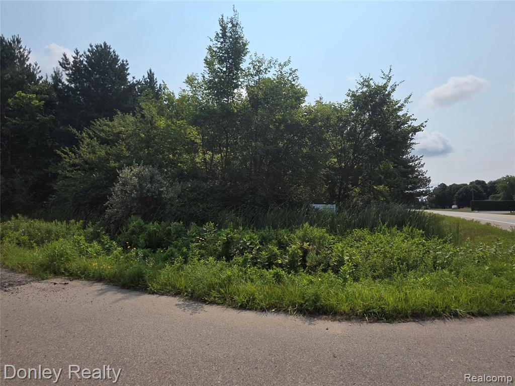 20 Vacant Lots Concord, Cranbrook & Tulane, Marlette, MI 48453