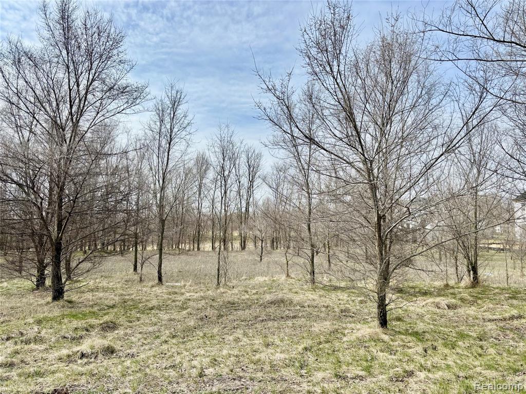 4448 Ford Avenue, Linden, MI 48451 — Photo 2