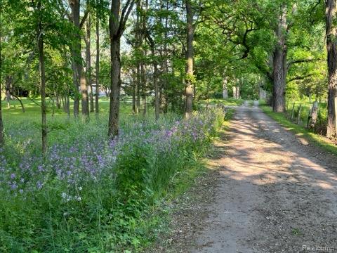 61995 Mount Vernon Road, Washington, MI — Photo 36