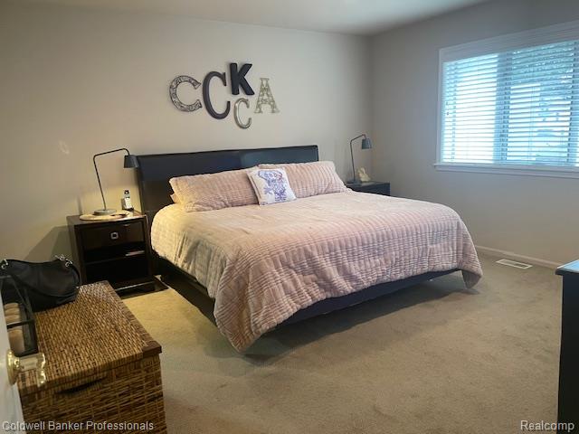 13096 Village Court, Clio, MI 48420 — Photo 8