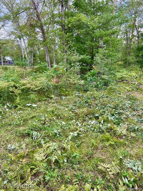 6629 S Tampa, Idlewild, MI 49642 — Photo 20
