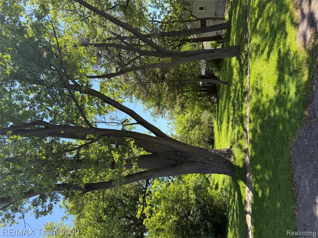 15529 Pomona Drive, Redford, MI 48239 — Photo 3