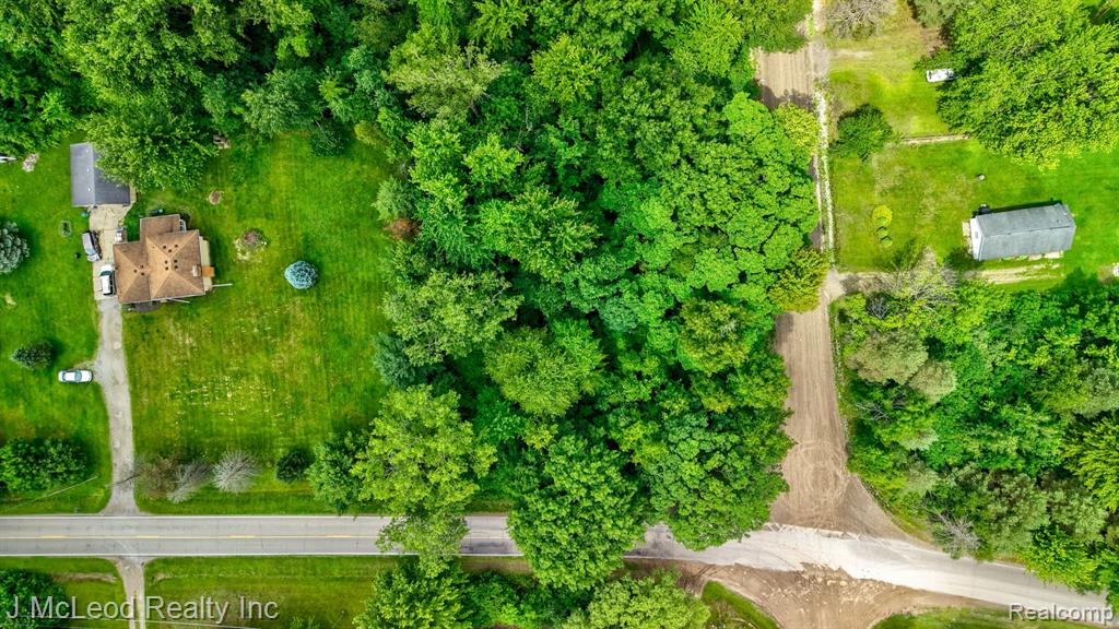 VL N Lewis Road, Clio, MI 48420 — Photo 9