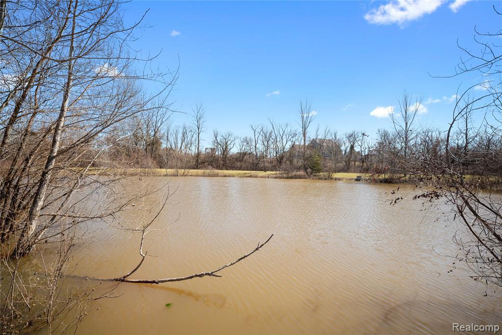 51026 Upland View Street, Canton, MI 48188 — Photo 35