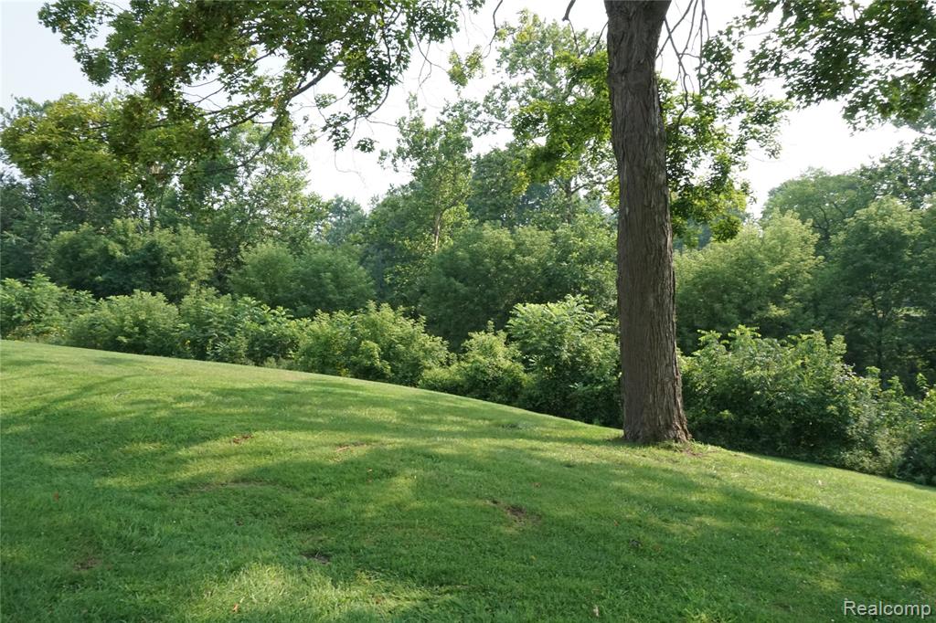 Vacant Lola Drive, Redford, MI 48239 — Photo 4