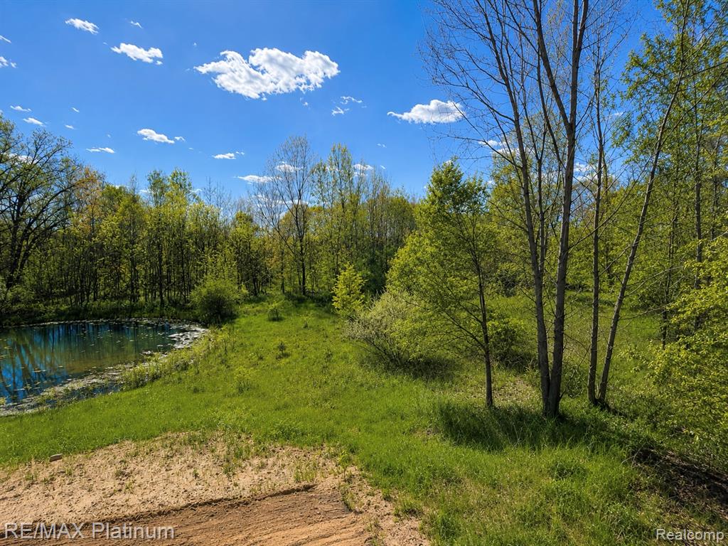 2233 Knotty Pine Trail, Howell, MI 48855 — Photo 16