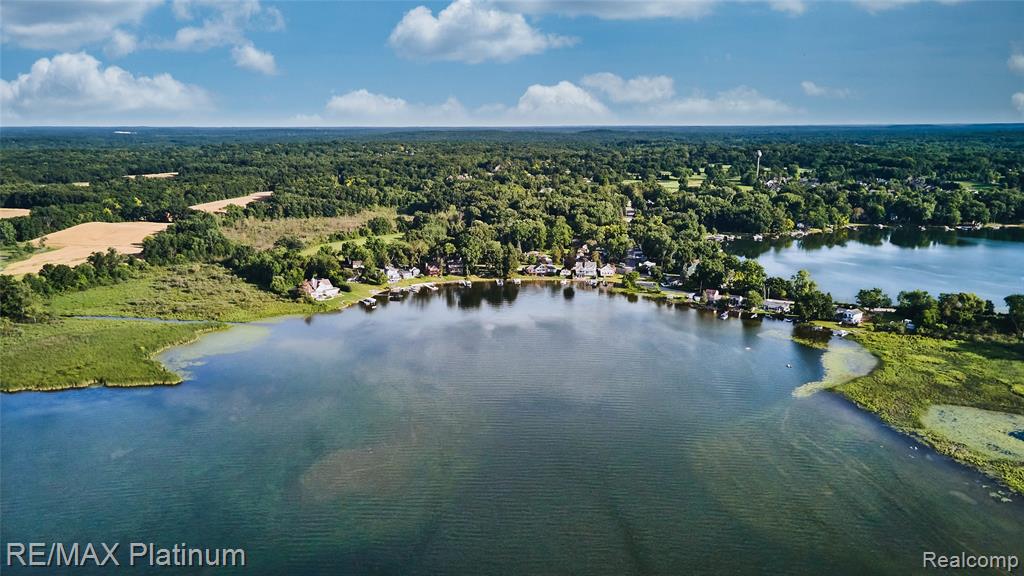 4358 SKUSA Drive, Brighton, MI 48116 — Photo 17