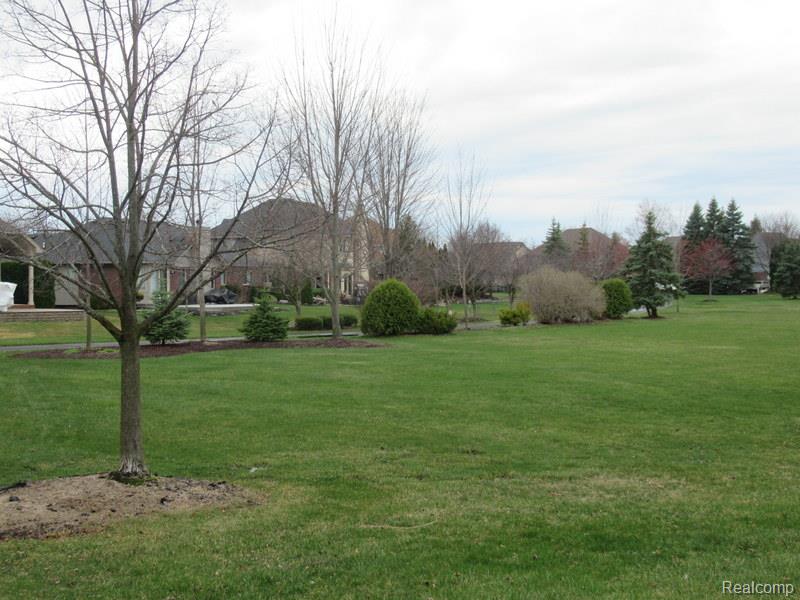 21406 Carlton Drive, Macomb, MI 48044 — Photo 3