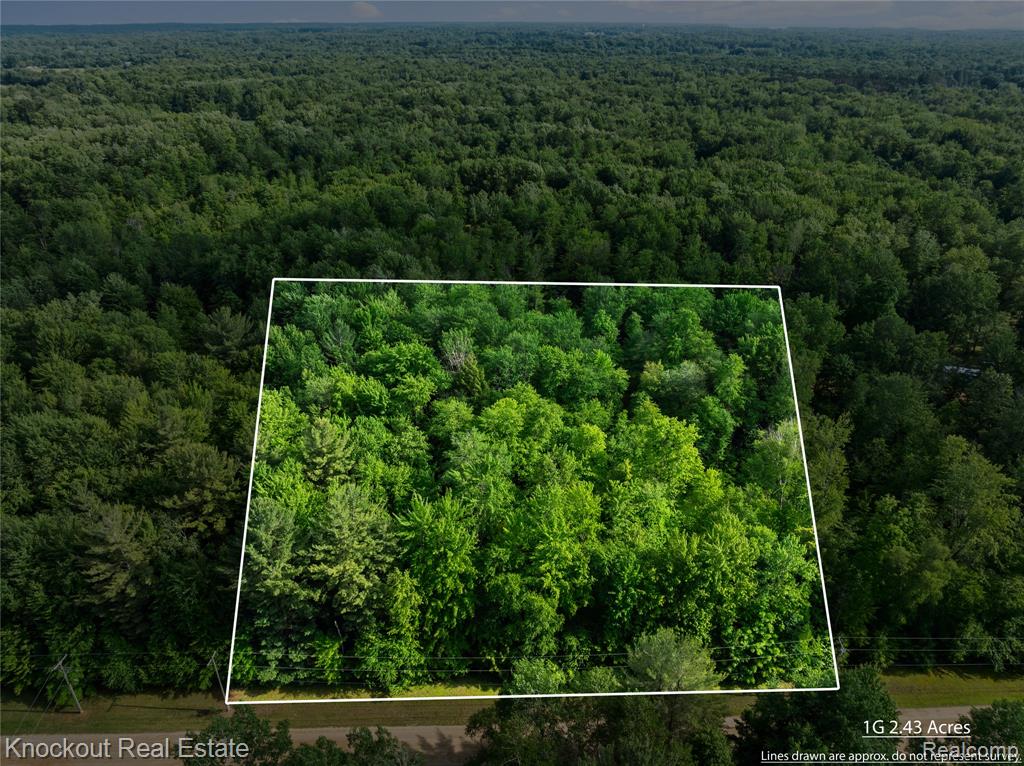 240 Hendrie Street, Detroit, MI, 48202