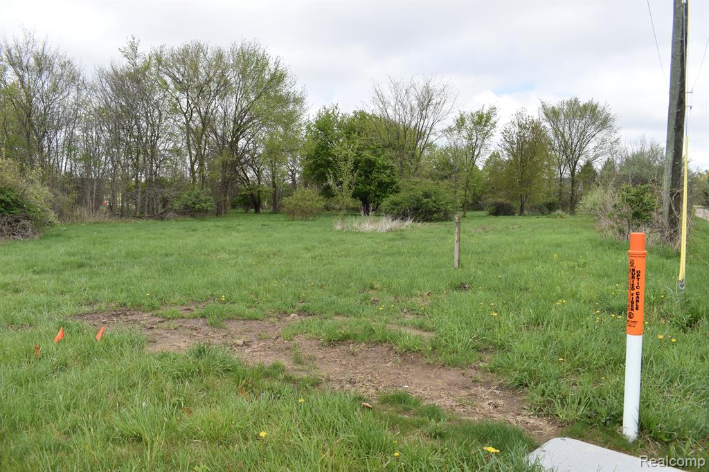 VL Grand River Avenue, Fowlerville, MI 48836 — Photo 4